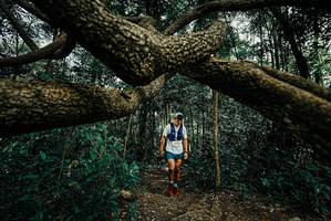 BIB: 
                            <button type="button" onclick="openModal(25708438)" class="btn btn-primary btn-sm float-right btn-popup" data-toggle="modal" data-target=".modal-high-quality">
                        <i class="fas fa-shopping-cart"></i> Add to Cart
                    </button>
                                            <button type="button" onclick="isThisMe(25708438, true)" class="btn btn-success btn-sm float-right btn-popup btn-isme hidden" data-toggle="tooltip" data-placement="bottom" title="นี่คือรูปของคุณใช่ไหม คลิกที่นี่เพื่อเอาเข้าอัลบั้ม">
                        <i class="fas fa-plus"></i> Add to album
                    </button>
                    <button type="button" onclick="isThisMe(25708438, false)" class="btn btn-warning btn-sm float-right btn-popup btn-isnotme hidden">
                        <i class="fas fa-ban"></i> Remove from album
                    </button>